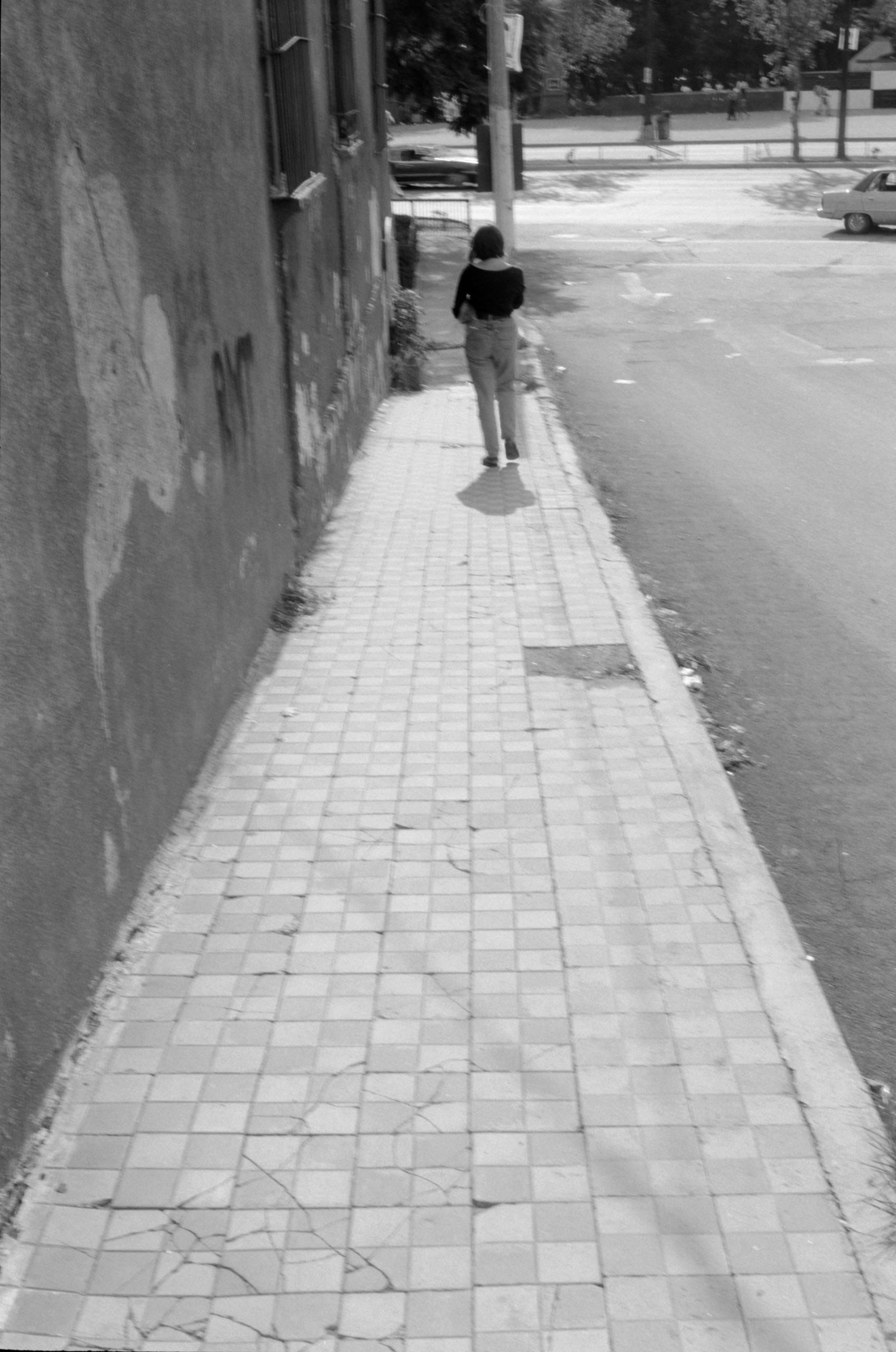 AHP FilmScan 240807 0431